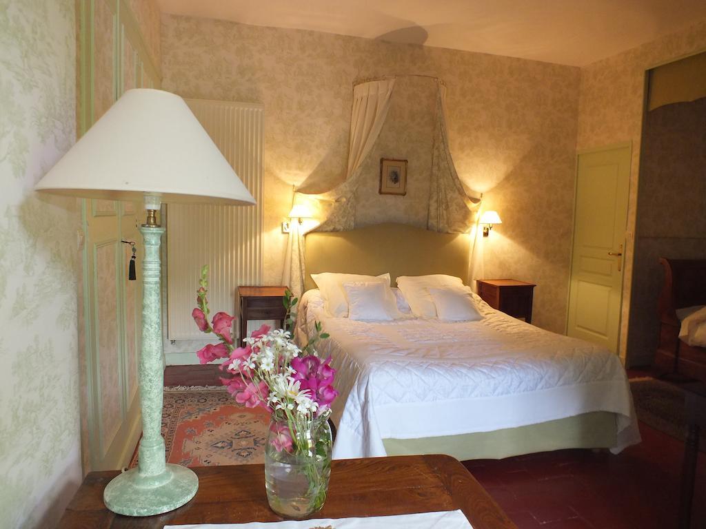 Château de Nazé Vivy Phòng bức ảnh
